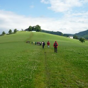 Pilgern zu den Jahreszeiten – Frühling